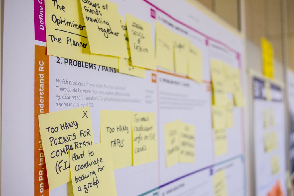 Supplier Development in the IT Sector
